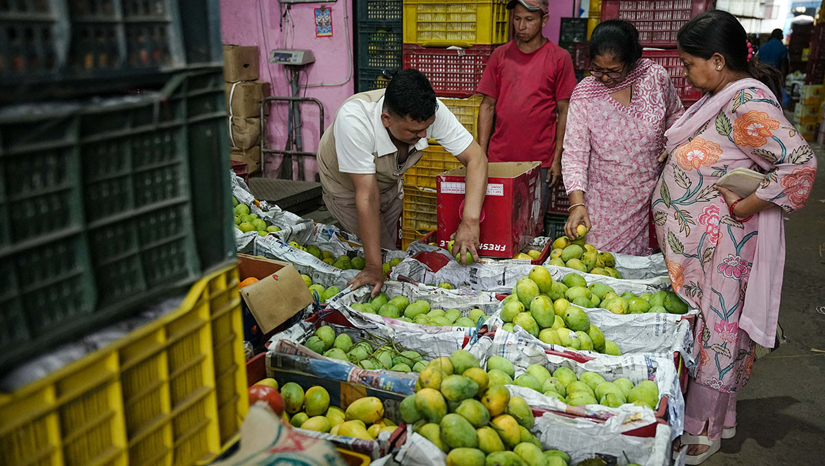 आउन थाल्यो नेपाली आँप (तस्बिरहरू)